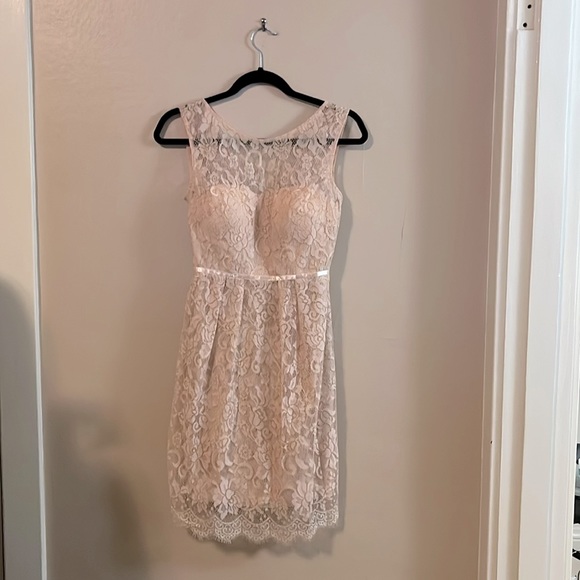 Jenny Yoo Collection Sleeveless Light Pink Lace Mini Bridesmaid Dress 0 - Picture 1 of 16